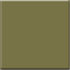 Tawny Blend swatch